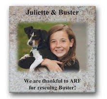 Pet Memorial Mini Panel 6" x 6"
